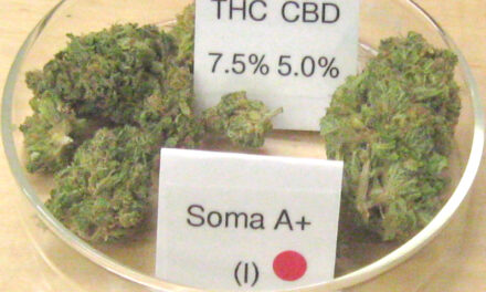 CBD in O’Shaughnessy’s
